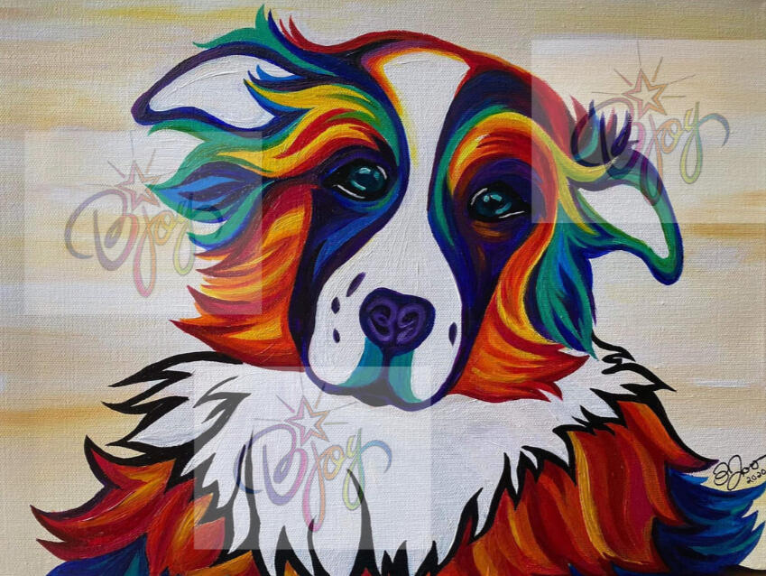 Pet Portraits